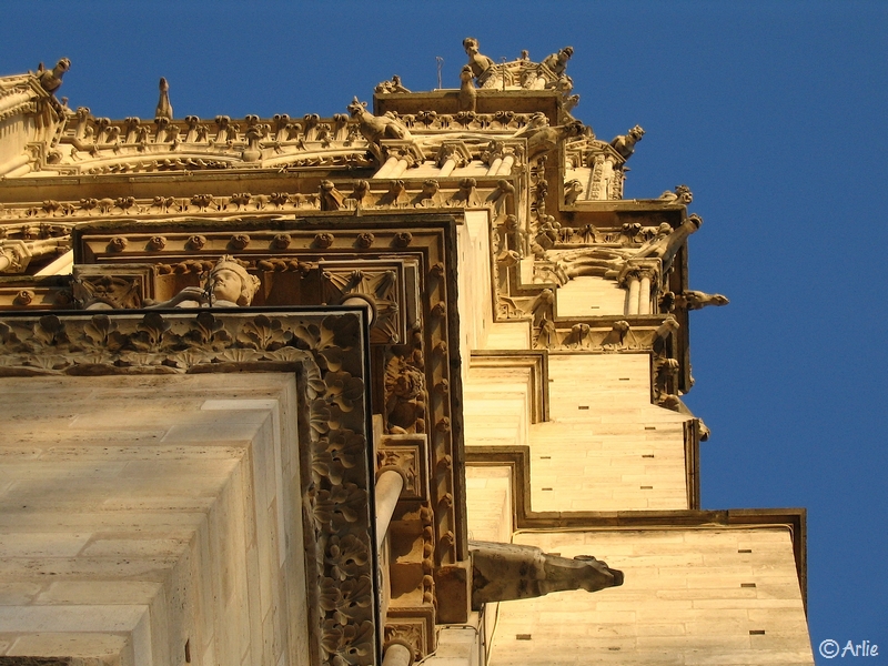 Paris, Notre-Dame et ses gargouilles, mars 2005
