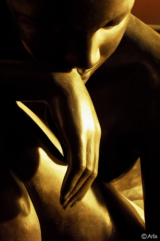 janvier 2011