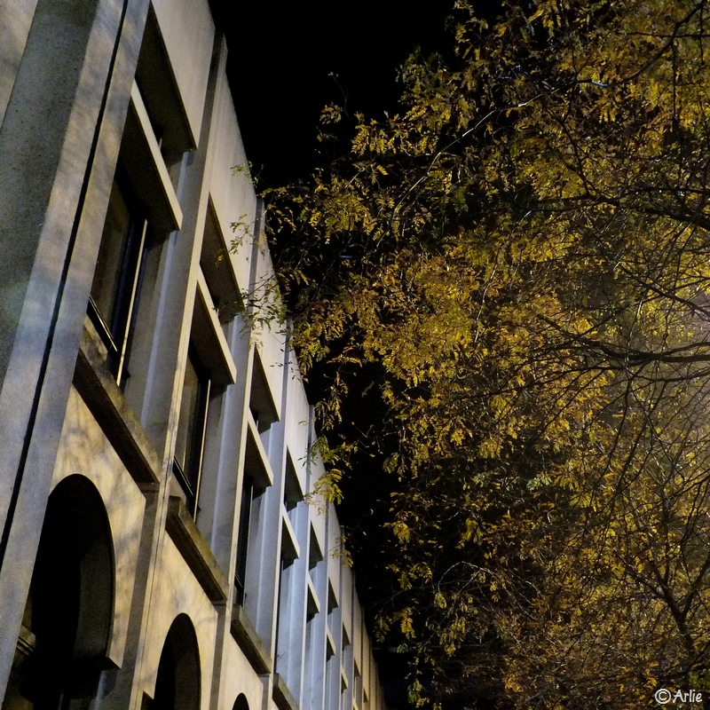 Lille, novembre 2011