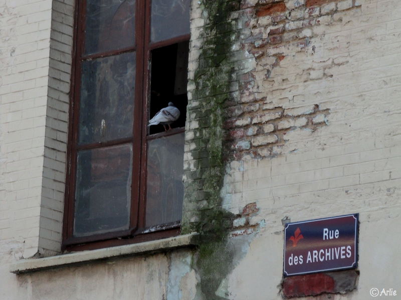Lille, septembre 2009